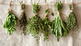 Fresh Herbs Hanging Upside Down Against Linen Fabric Background