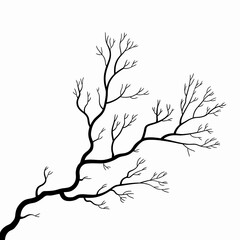 Silhouette of Bare Tree Branch Against White Background for Autumn and Winter Concepts and Minimalist Design Projects