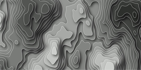 Poster - Topographic contour map. Topography and geography map grid abstract backdrop. 
