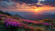© NOBLE  MAN - Mountain Meadow at Sunset with Rhododendron Flower and Rolling Hill Landscape