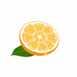 © Мартин Иден - Freshly sliced lemon with green leaf on white background