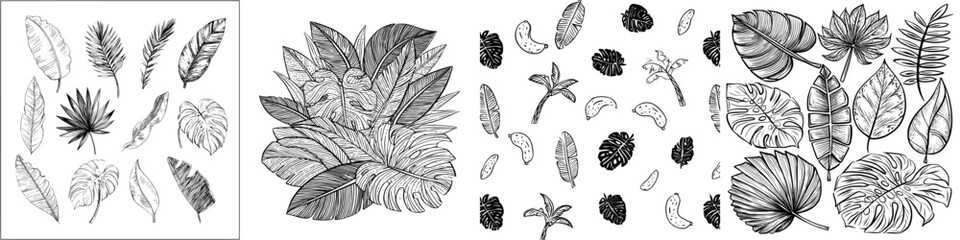 Poster - Modern hand drawn black line design elements, including tropical leaves in doodle style, feature exotic summer botanical illustrations of Monstera leaves, palm, and banana leaf