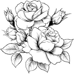 Poster - The design features a set of outlined black and white roses, buds, and leaves on a white background, suitable for creating greeting cards and wedding, birthday, Valentine's Day, Mother's Day, and