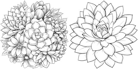 Poster - A modern illustration of a hand drawn succulent outline on a white background, depicting flowers in the desert, ideal for a coloring book, greeting card or print