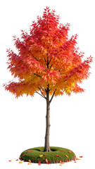 vibrant autumn tree with red and orange leaves, standing on green grass, showcasing beauty of fall f
