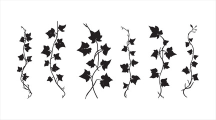 Fototapete - Collection of ivy branch silhouettes. A hand-drawn illustration turned into a vector.

