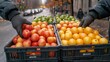 © MABRUR - Hands selecting fruit from crates on city street