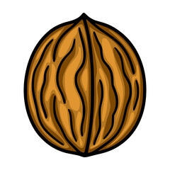 Poster - A vector illustration of a single walnut, showcasing a detailed hand-drawn style with rich brown hues and black outlines, emphasizing the natural texture and grain of the shell.