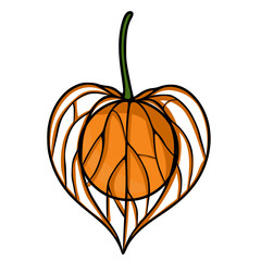 Poster - Unique vector illustration of a physalis fruit in a heart-shaped husk, depicted with a stylized, graphic design featuring bold orange and black lines against a white background.