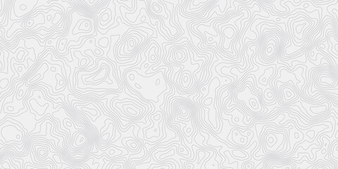 Leinwandbilder -  topographic map wave curved lines white background showing elevation changes surface smooth line light wallpaper design.
