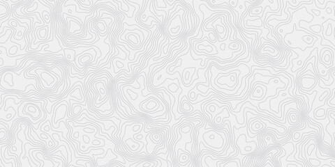 Leinwandbilder -  topographic map wave curved lines white background showing elevation changes surface smooth line light wallpaper design.