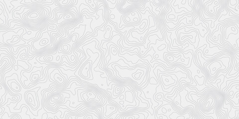 Leinwandbilder -  topographic map wave curved lines white background showing elevation changes surface smooth line light wallpaper design.