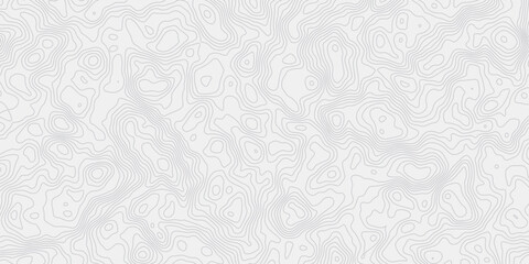 Leinwandbilder -  topographic map wave curved lines white background showing elevation changes surface smooth line light wallpaper design.