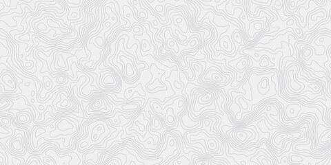Leinwandbilder -  topographic map wave curved lines white background showing elevation changes surface smooth line light wallpaper design.