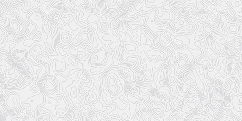 Leinwandbilder -  topographic map wave curved lines white background showing elevation changes surface smooth line light wallpaper design.