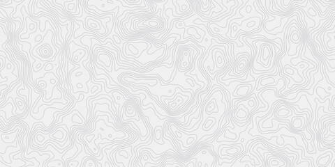 Leinwandbilder - Abstract topographic wave map lines pattern  white background creating a minimal design element wallpaper design.
