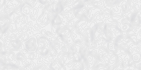 Leinwandbilder - Abstract topographic wave map lines pattern  white background creating a minimal design element wallpaper design.
