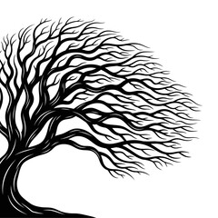 Poster - A bare tree with windswept branches is isolated on white background