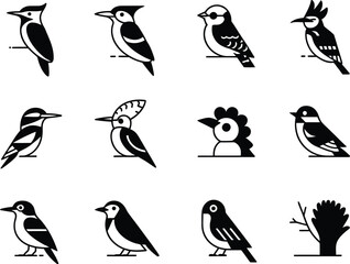 Poster - Collection of stylized black and white bird illustrations