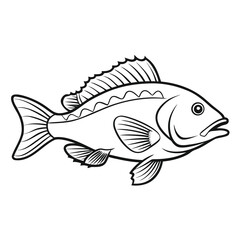 Poster - Detailed outline illustration of a grouper fish with clean lines presented isolated on white background