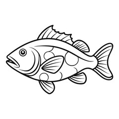 Poster - Outline illustration of a grouper fish a marine creature isolated on white background