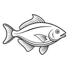 Poster - Detailed halibut fish outline illustration isolated on white background