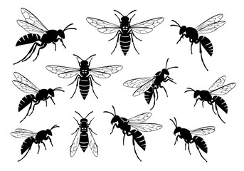 Detailed Silhouette Flying Wasp Insect Bug Wildlife Illustration
