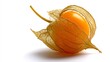 © Auraclicks - Physalis closeup Physalis peruviana goldenberry open husk detailed fruit texture on white background macro food stock photo