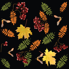 Wall Mural - ed ashberries and maple leaves isolated on black