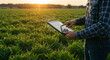 © LPhotoworks - Leveraging ERP and data-driven insights for optimized agricultural management and improved crop yields in a modern farming landscape