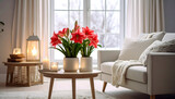 Coral amaryllis plants in living room