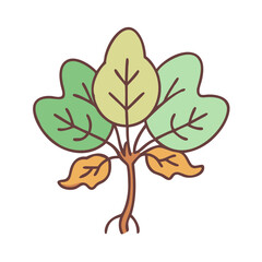 Poster - Illustration of a leafy green plant drawing for botanical garden and nature education guide