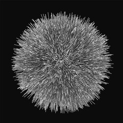 Poster - A black and white sea urchin drawing features a circular arrangement with overlapping contours. The fur-like spines create a textured sphere effect, centered in bright white against a deep black.