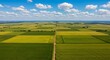 © haemye - Scenic aerial view of vast agricultural farmland with a patchwork of green and yellow crop fields under a beautiful blue sky