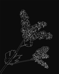 Poster - A delicate black and white flower contour drawing stands out against a solid black background. The stem extends gracefully with slender leaves. The minimalist design emphasizes clean lines.