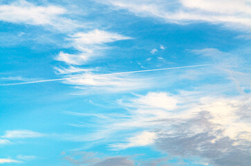 Wall Mural - A bright blue sky background with a few wispy clouds.