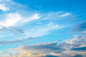 Wall Mural - A bright blue sky background with a few wispy clouds.