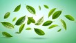 © Muji Creatives - green leaves background