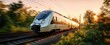 © Albi - The train speeding through a beautiful sunset landscape on a railway track.