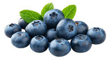 bilberry isolated png bilberry on white or transparent background perfect retouched blueberries no background png bilberries collection full depth of field