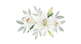 White Lily Flowers Watercolor Arrangement on Transparent Background