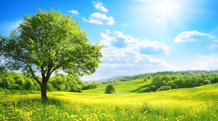 Wall Mural - green field and blue sky. field and clouds