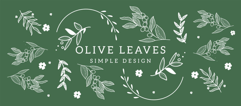 Hand-drawn olive branch with fruits and leaves in engraving style