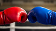 © Cynthia - Two boxing gloves, red and blue, meet in a confrontation