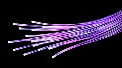 Poster - Colorful Light Trails on a Black Background Capturing Vibrant Energy and Motion in an Abstract Art Style