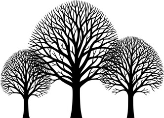 Wall Mural - Three bare trees illustration, winter, nature.EPS Vector