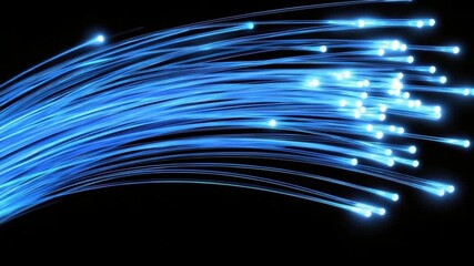 Poster - Abstract Display of Blue Fiber Optic Lights with Glowing Points Creating Dynamic Light Trails on Black Background