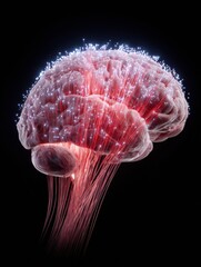 Poster - Brain Wired With Fiber Optic Cables Reflecting Modern Technology and Glowing With Vibrant Colors Against a Black Background