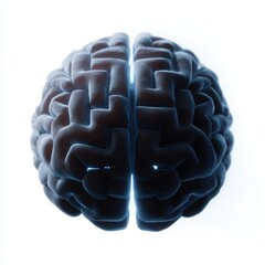 Poster - A human brain silhouette with abstract glowing lines forming a complex maze inside, isolated on a pure white background. Complex thought, problem-solving.