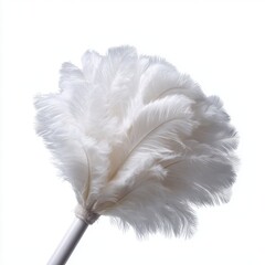 Poster - A plain white feather duster, isolated on a pure white background. Cleaning, household tool.